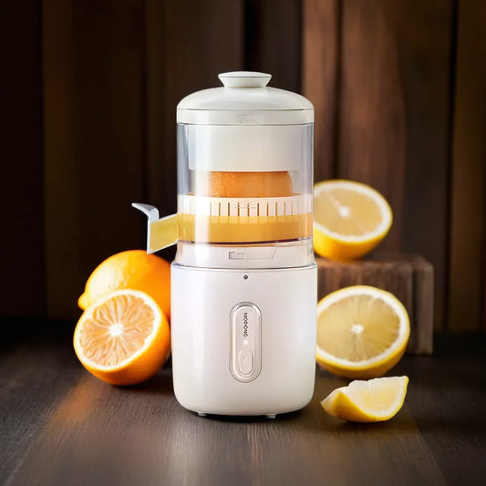 Compact Portable Fruit Juicer